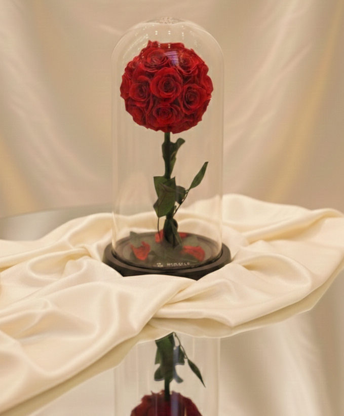 MY WORD LA BELLE ROSE