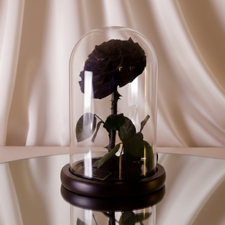 LA BELLE ROSE ROYAL COLOR