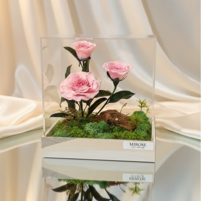 CAMILIA MAGICAL GARDEN