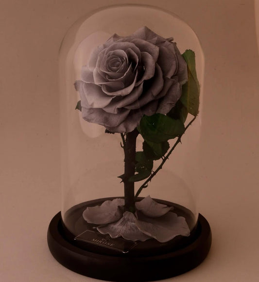 Mirose Eternal Rose Grey La Belle Rose