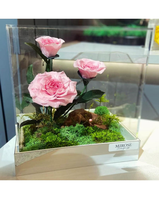 Mirose Eternal Rose Camilia magical garden