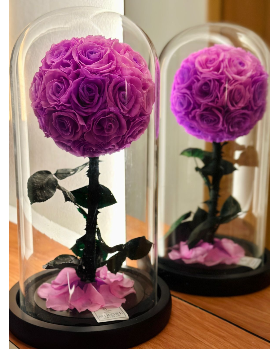 Mirose Eternal Rose Purple My World