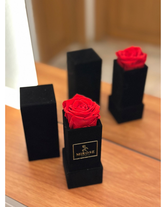Mirose Eternal Rose Red 1 Mini Rose Square Box