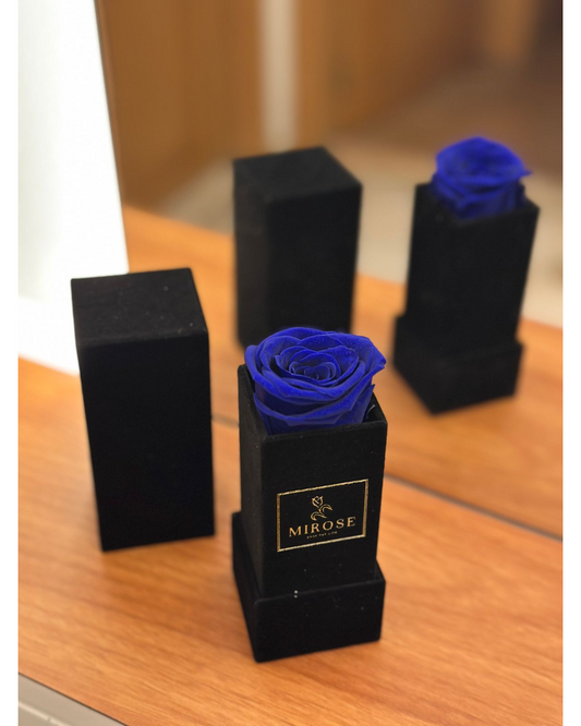 Velvet sqaure 1 rose royal blue, MIROSE