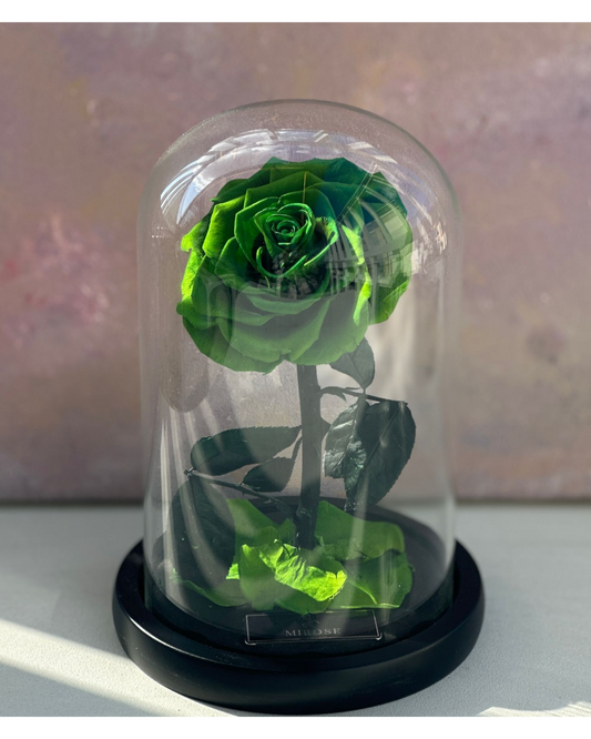 Mirose Eternal Rose Royal Green La Belle Rose