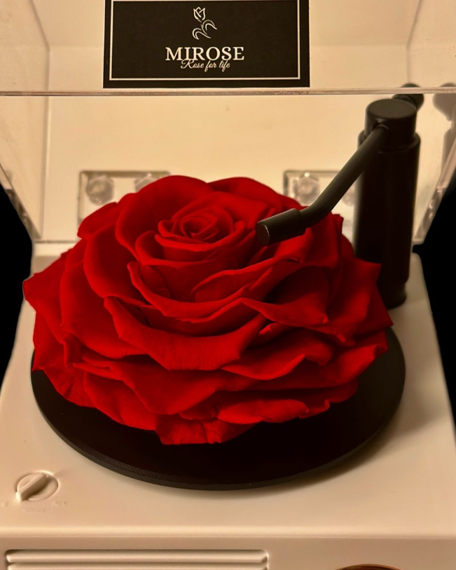 Bluetooth Speaker Rose